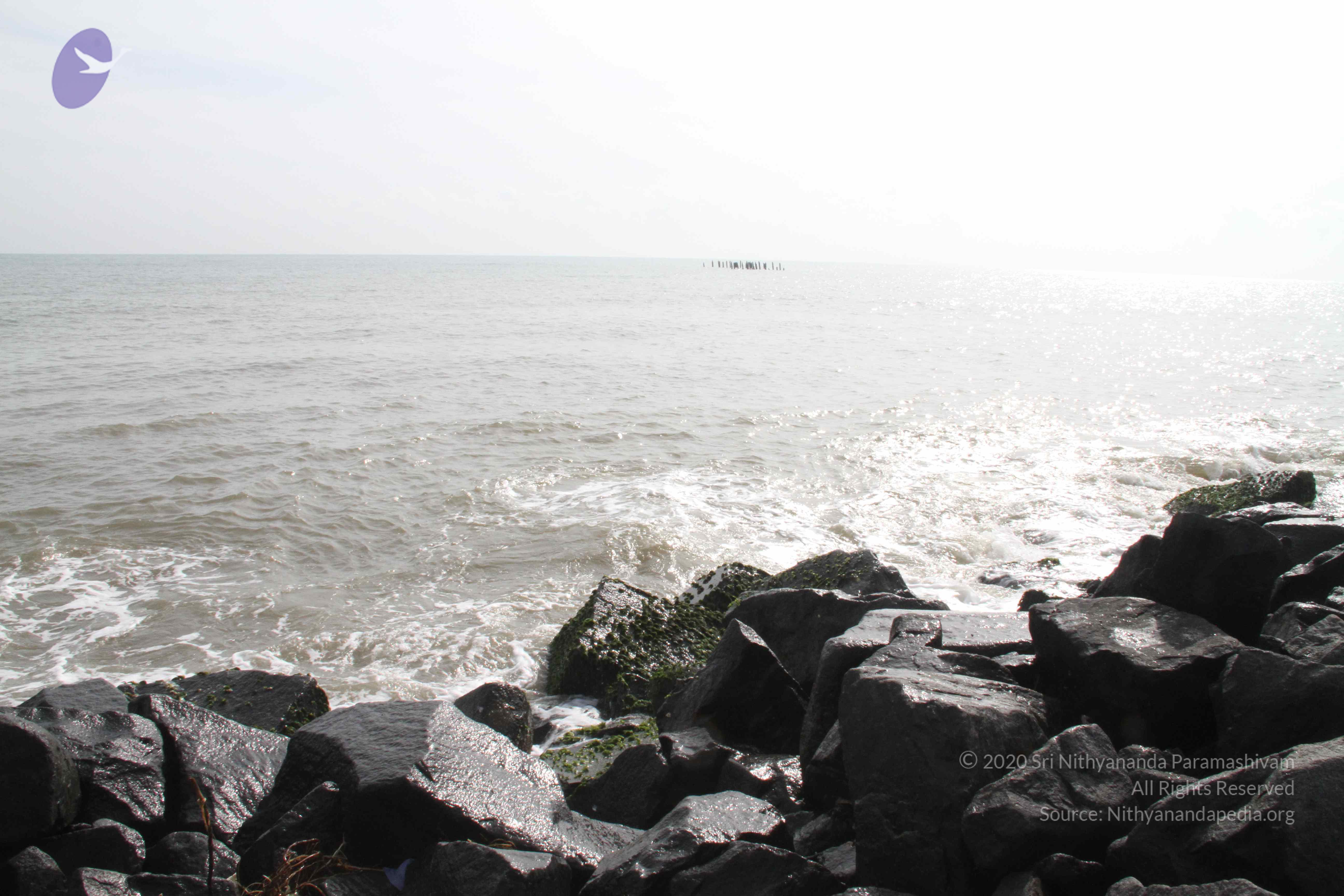 20120107_Photo_1130_IMG_5110_CMP_WM